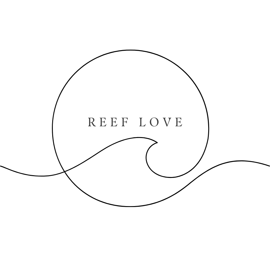 Launching My Website: A Journey of Style & Learning - Reef Love