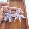 Shop Jasmine Earrings - Enchanted-available at Reef Love online boho-chic boutique