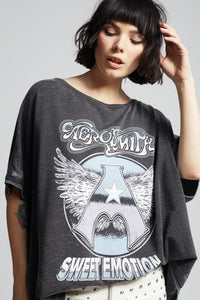 Aerosmith Sweet Emotion Vintage One Size Sweatshir