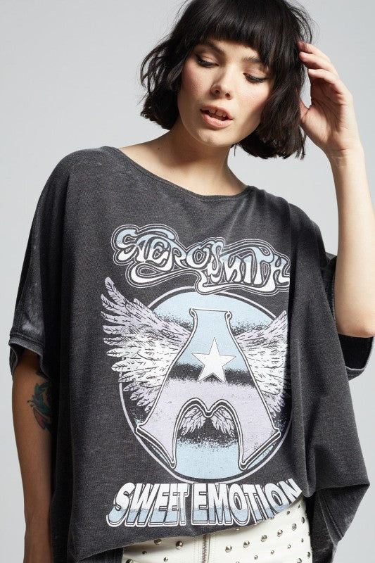 Aerosmith Sweet Emotion Vintage One Size Sweatshir