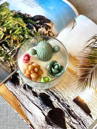 Garden Terrarium Candle - Handmade Scented Candle