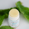 Natural Lip Balm Bundle (5-Pack)
