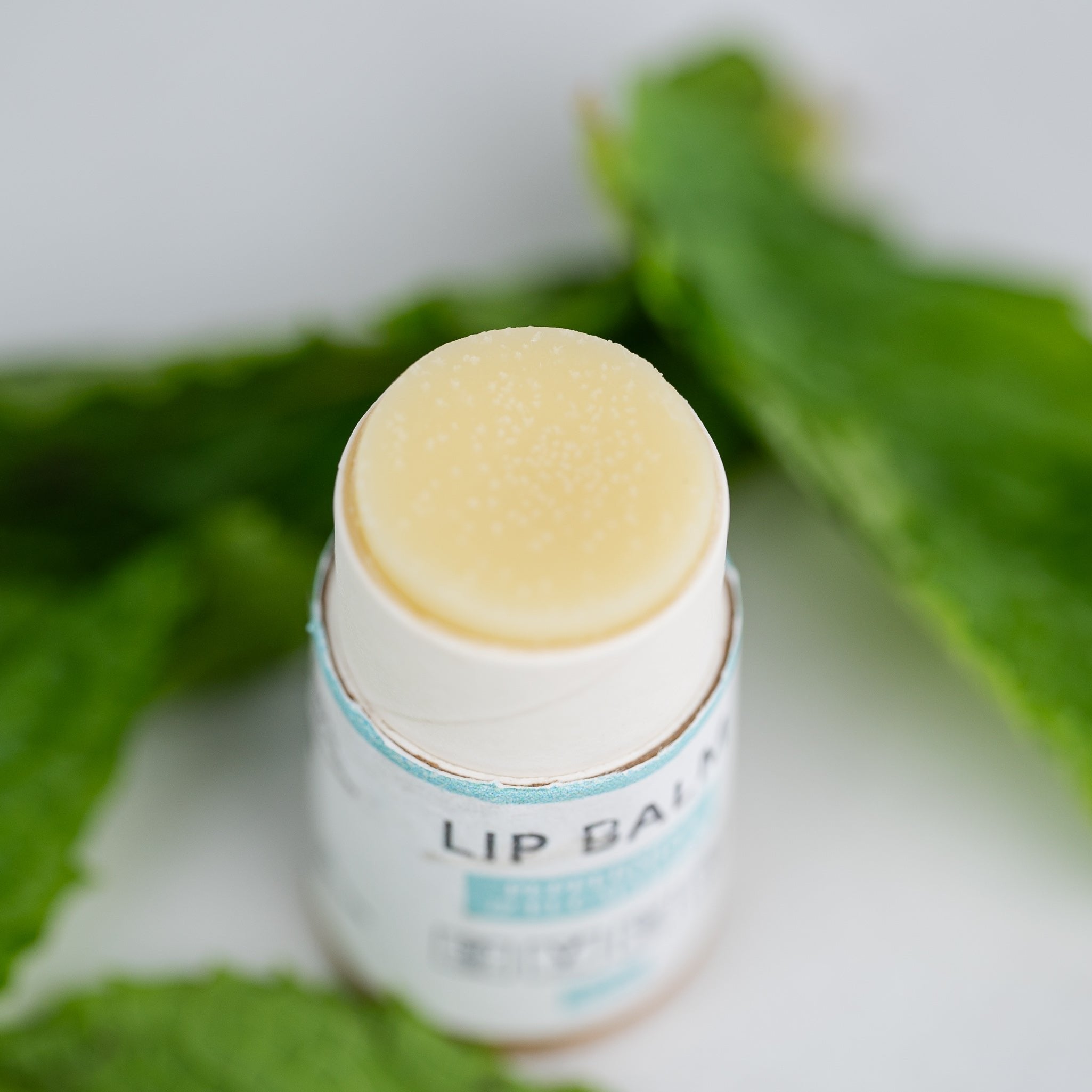 Natural Lip Balm Bundle (5-Pack)
