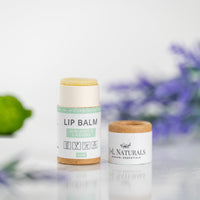 Natural Lip Balm Bundle (5-Pack)