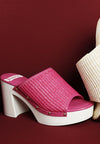 Marengo Raffia Chunky Heel Clogs-Reef Love