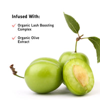 Organic Mascara Formula Organic Wear All Natural Origin Mascara,Organic Makeup,Black,Dermatologist Test