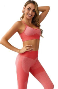Seamless Activewear Two Piece Set