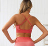 Seamless Activewear Two Piece Set
