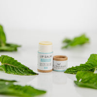 Natural Lip Balm Bundle (5-Pack)